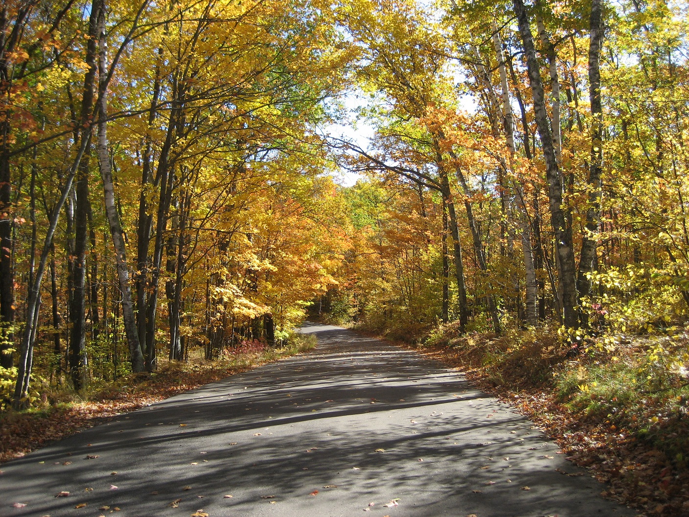 Road to Home, Bayfield County, WI, 2008