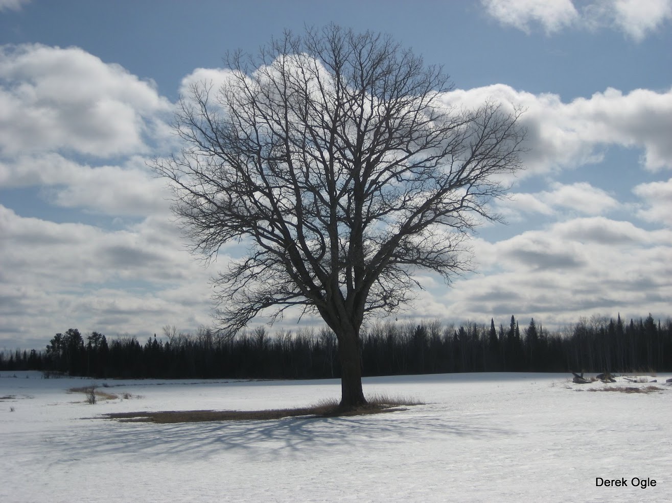 Muskeg Property, Oulu, WI