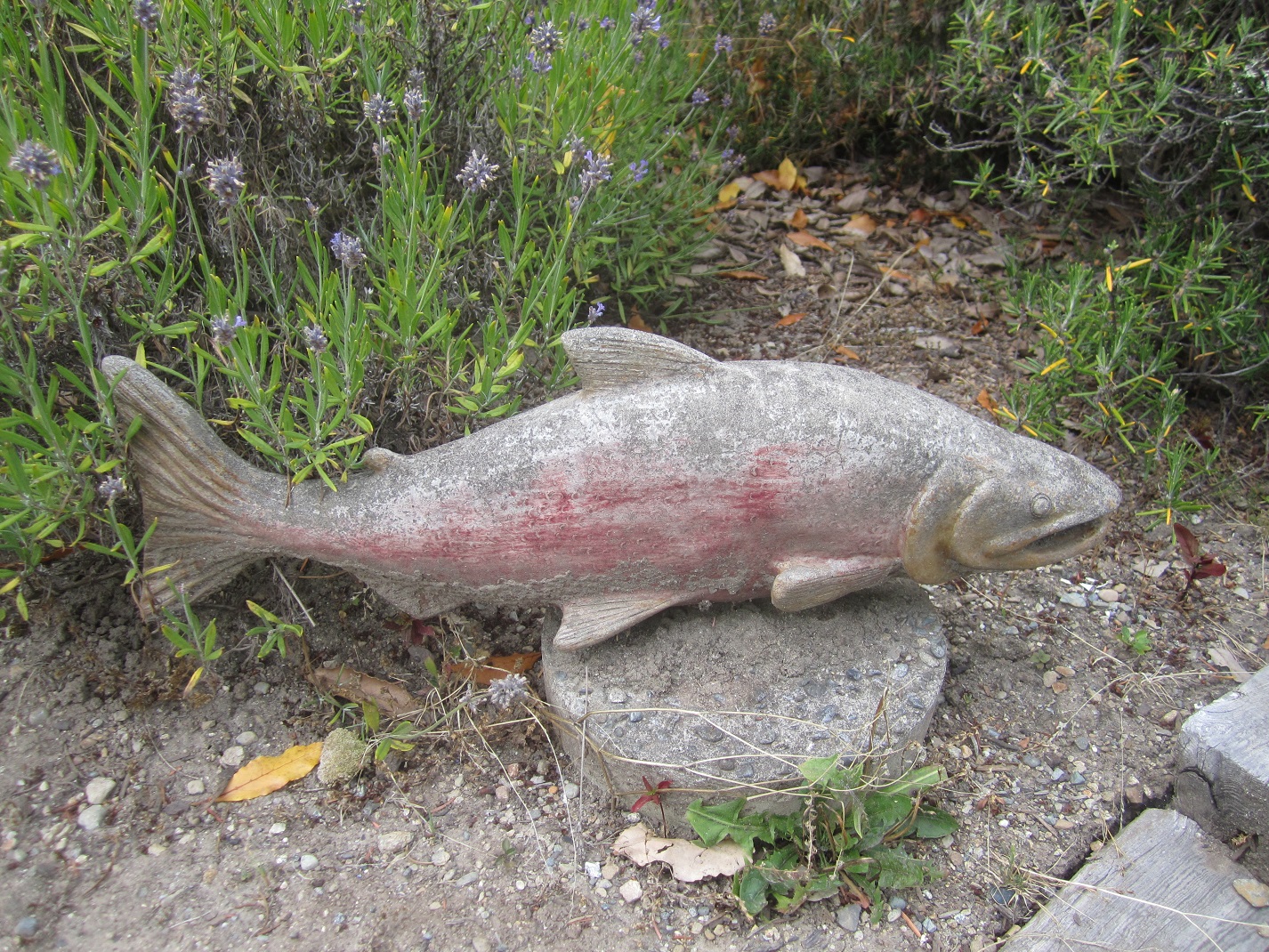 Carved Sockeye, Vancouver, BC, Canada